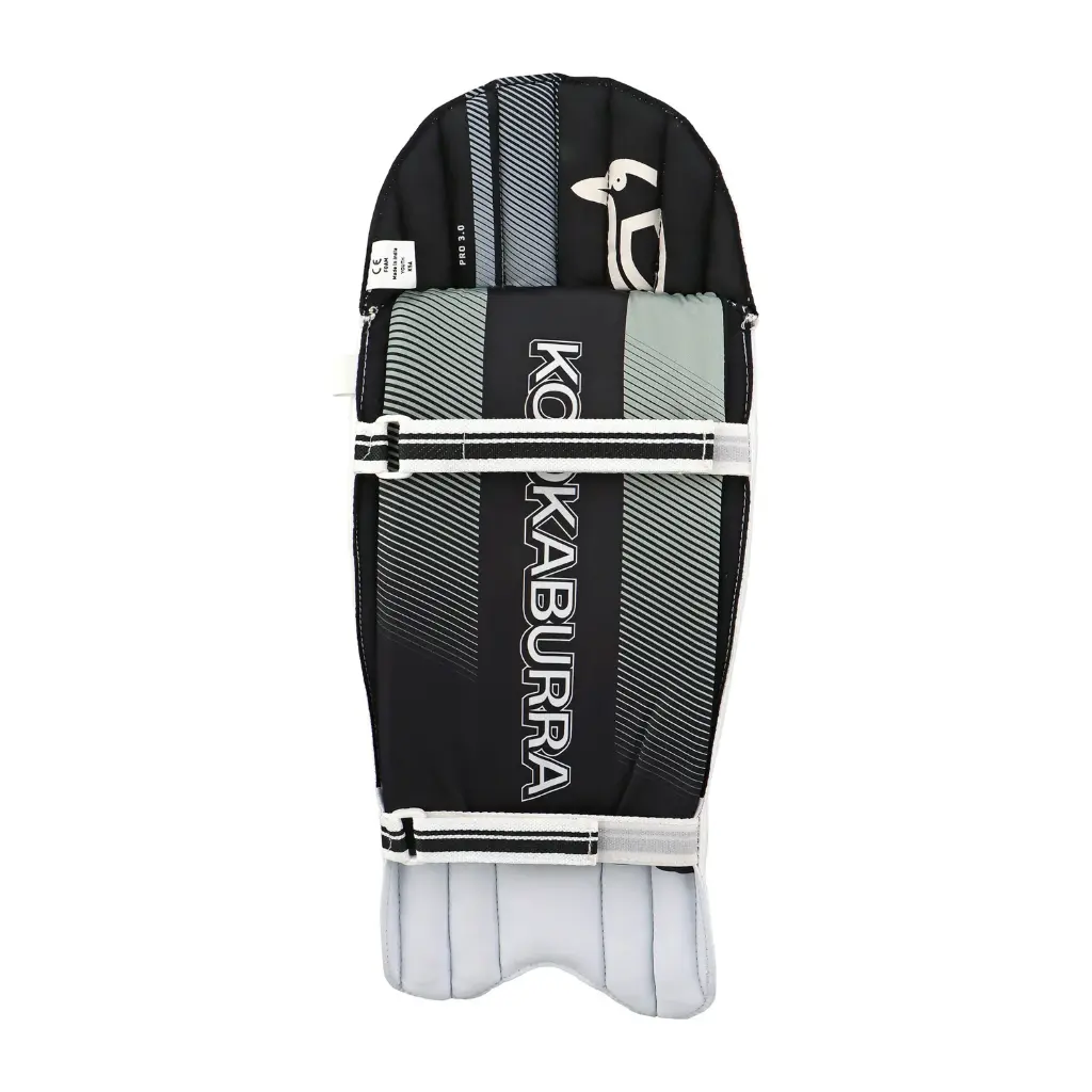 wicket keeper leg guard 3.0 a.webp
