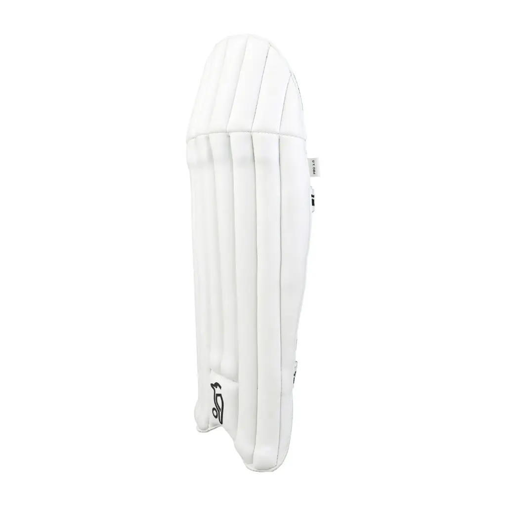 wicket keeper leg guard 3.0.webp