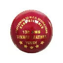 RedCherry135GBall-Back.webp